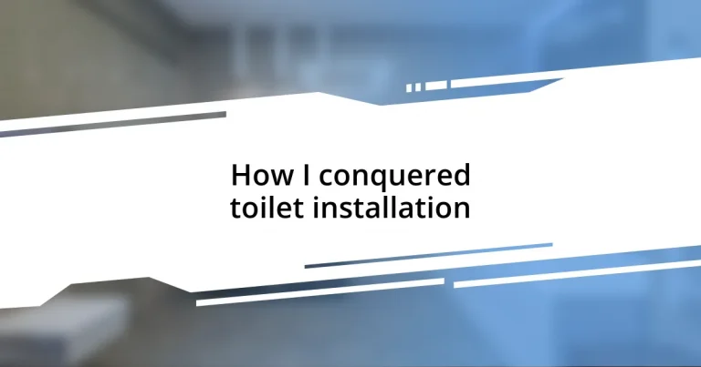 How I conquered toilet installation