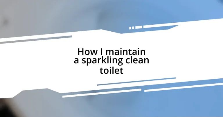 How I maintain a sparkling clean toilet