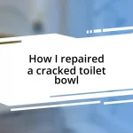 How I repaired a cracked toilet bowl