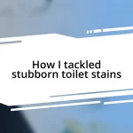 How I tackled stubborn toilet stains