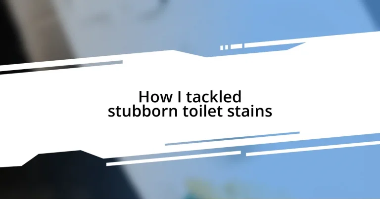 How I tackled stubborn toilet stains