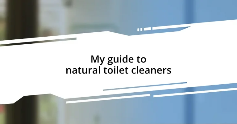 My guide to natural toilet cleaners