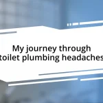 My journey through toilet plumbing headaches