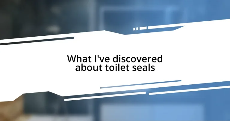 What I’ve discovered about toilet seals