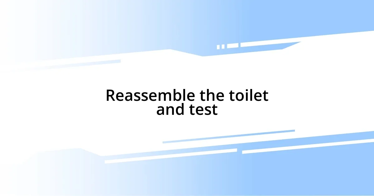 Reassemble the toilet and test