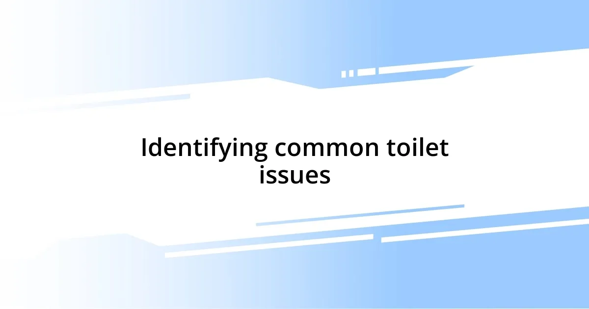 Identifying common toilet issues