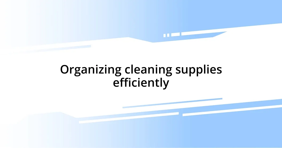 Organizing cleaning supplies efficiently