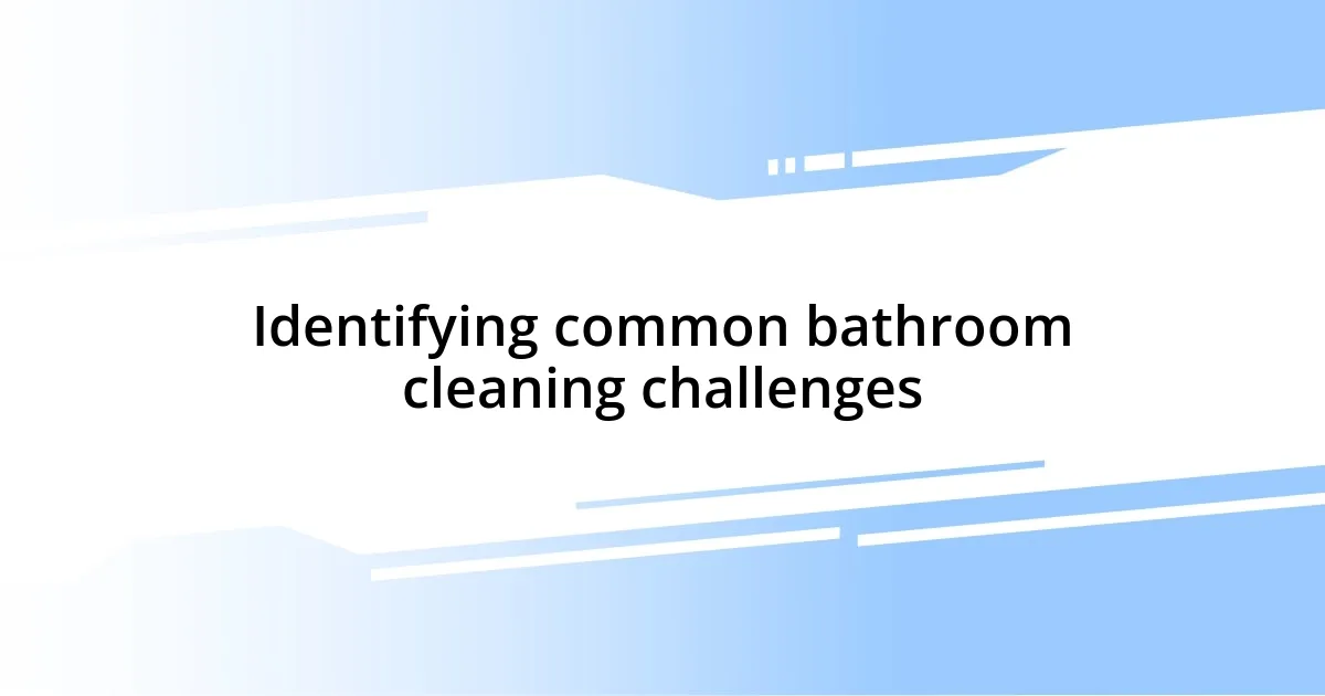 Identifying common bathroom cleaning challenges