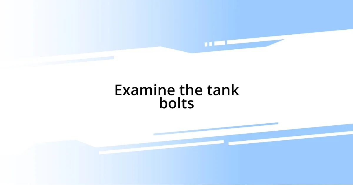 Examine the tank bolts