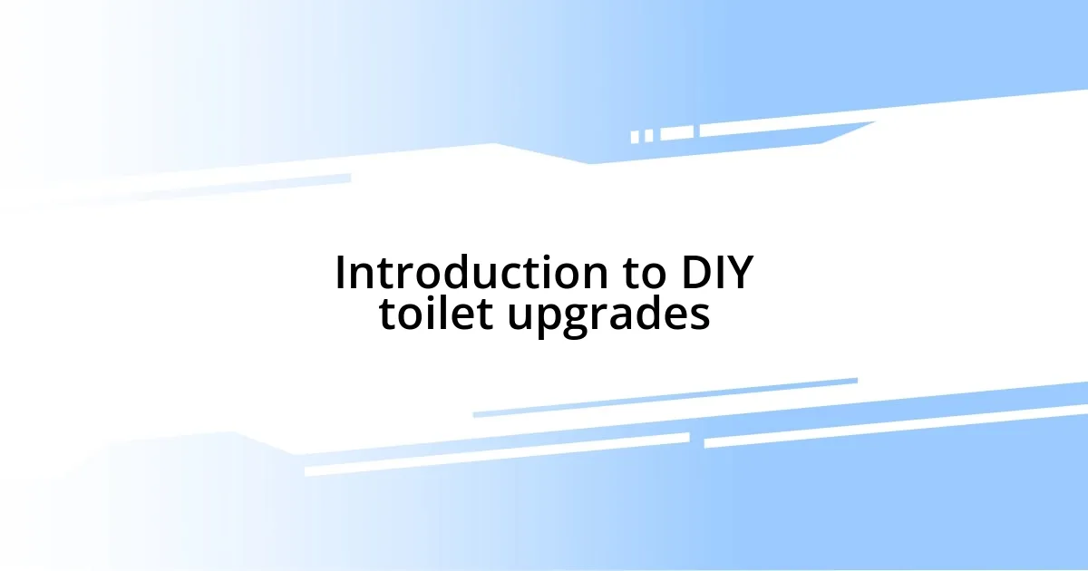 Introduction to DIY toilet upgrades