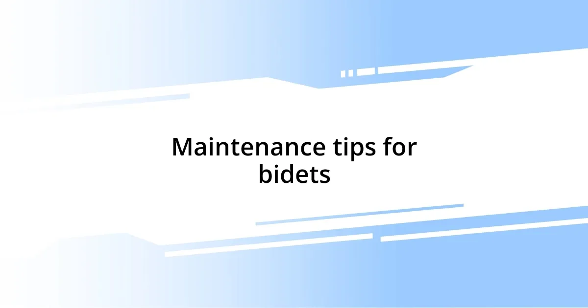 Maintenance tips for bidets