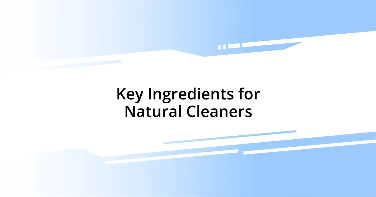 Key Ingredients for Natural Cleaners