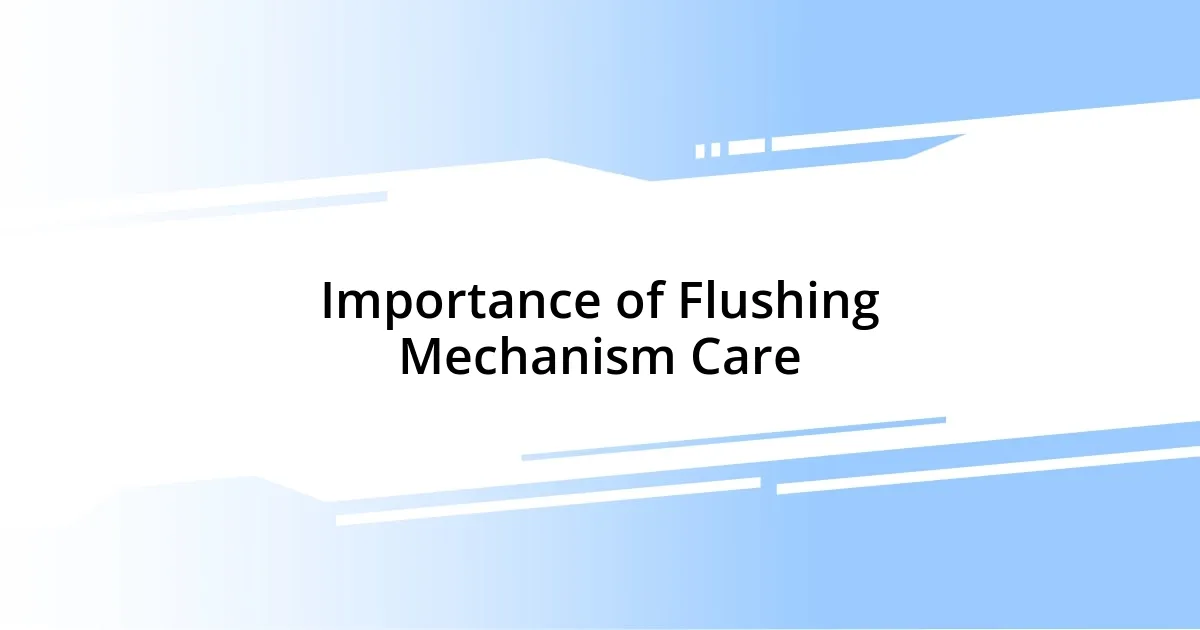 Importance of Flushing Mechanism Care