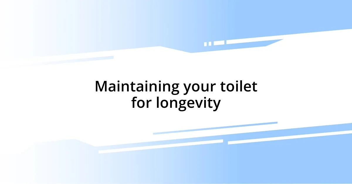 Maintaining your toilet for longevity