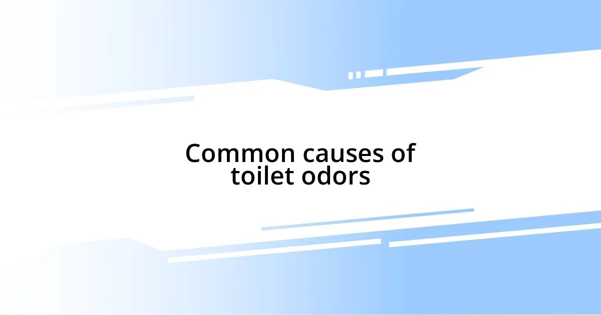 Common causes of toilet odors